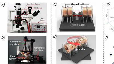 Magnetic Microrobots for In Vivo Cargo Delivery: A Review